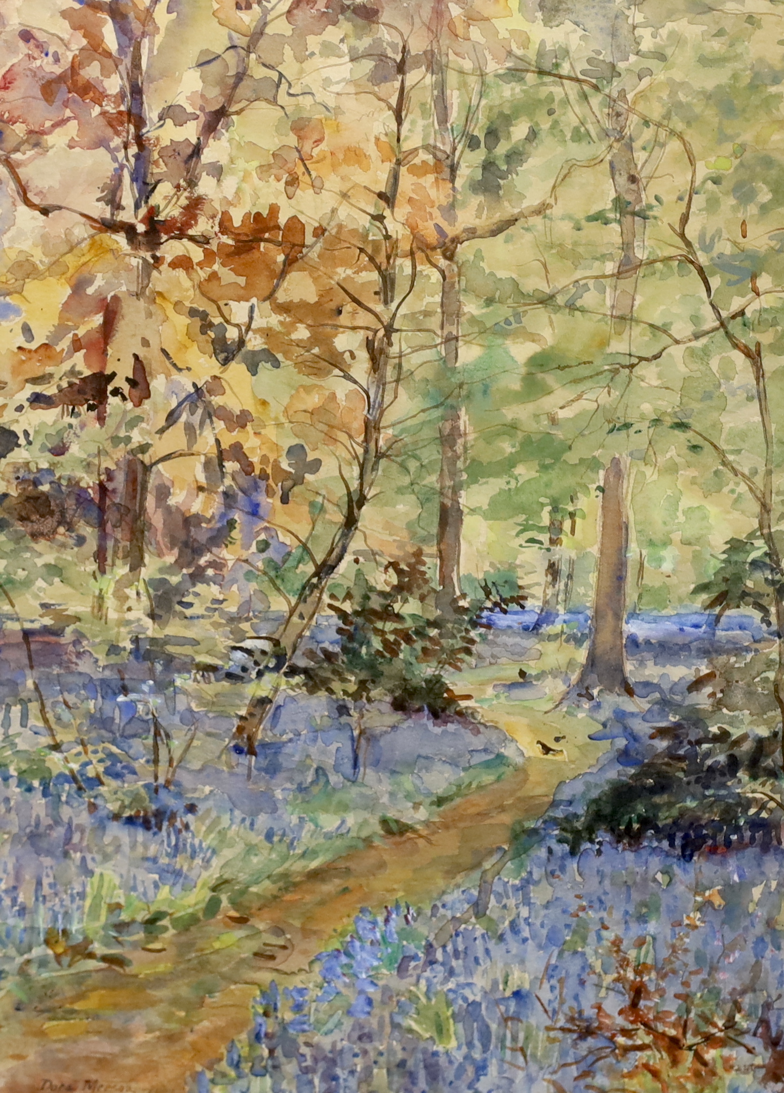 Dora Meeson (Australian, 1869-1955), watercolour, Woodland with bluebells, signed and dated 1928, 40 x 29cm